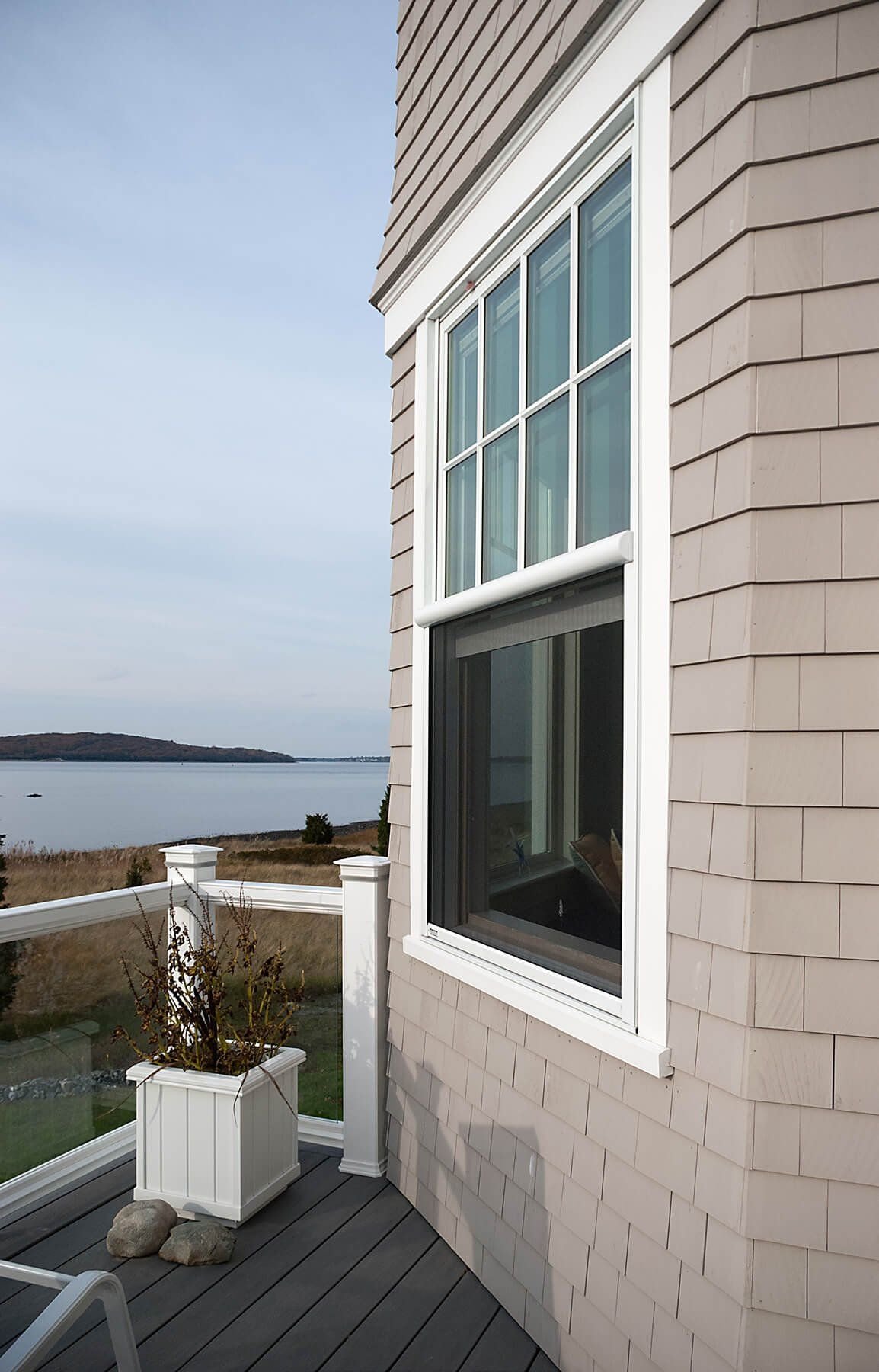 Common Fence — image 5