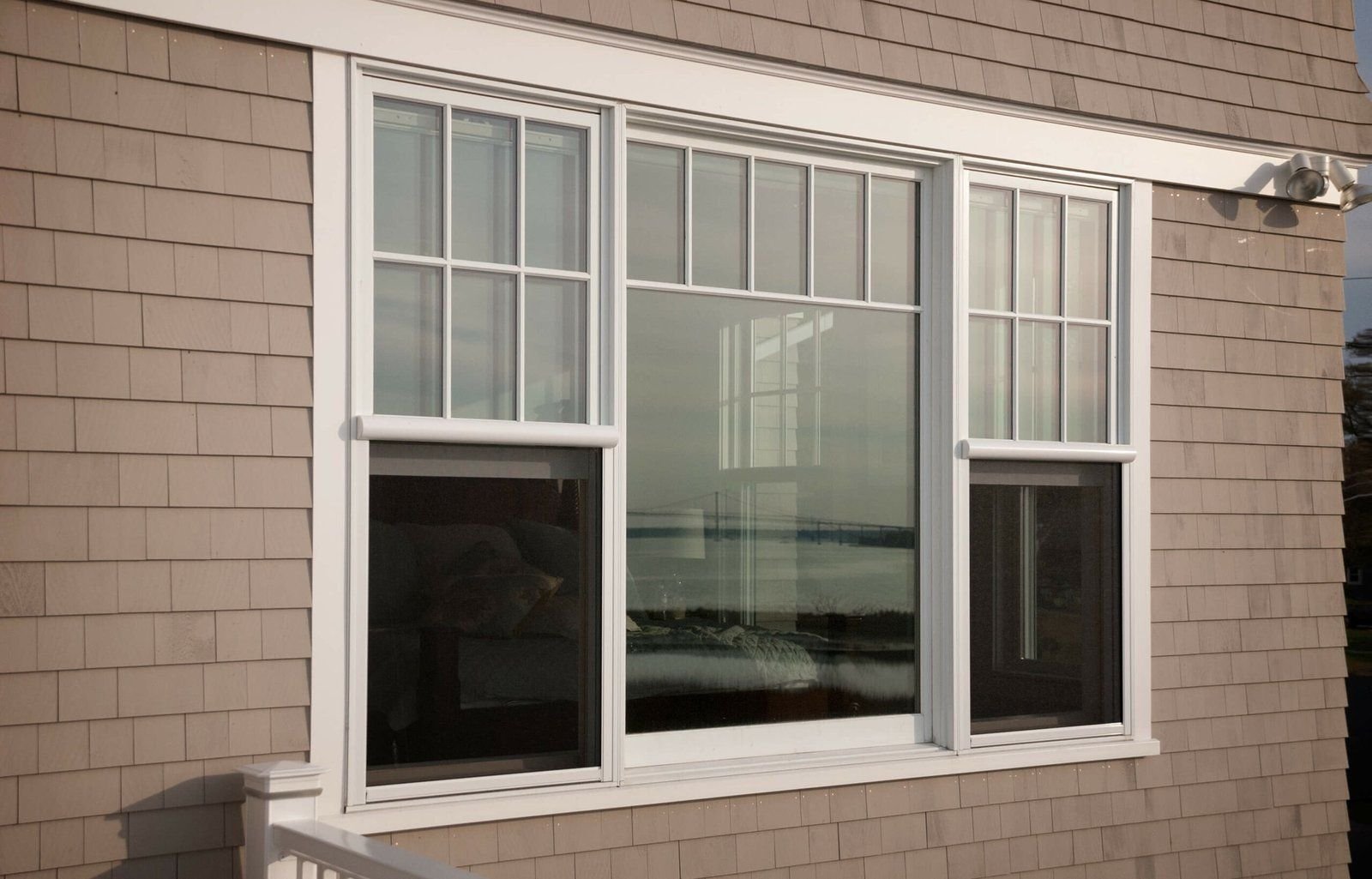 Common Fence — image 7